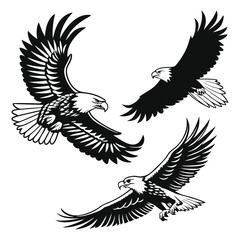 Three Majestic Eagles Soaring in Black and White Vector Illustration