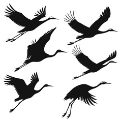 Elegant Cranes in Flight A Silhouette Collection of Graceful Birds