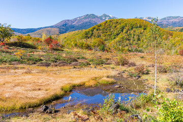 日本の風景・秋　紅葉の乗鞍高原　偲ぶの池
