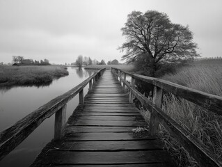 Naklejka premium An empty bridge crossing a calm river, under an overcast sky.