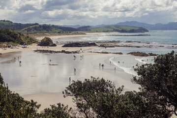 People enjoy a sunny day at a beautiful beach in Tawharanui, Auckland, New Zealand, swimming, surfing, and relaxing by the water.