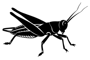 Grasshopper Jumping Vector Silhouette on White Background