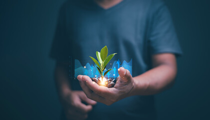 Businessman holding tree growing from pile of coins with financial graph. Growth saving and investment concept. CSR. sustainable development. Business with environmental concern. Saving money.