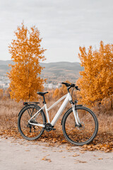 Fototapeta premium electric bicycle parked amidst field of ultrabright autumn leaves surrounded by natures beauty