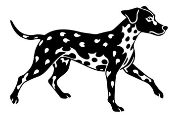 Fototapeta premium Dalmatian Running Vector Silhouette