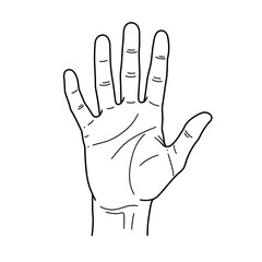 Human palm, hand vector icon design with stroke line. Front side hand vector, silhouette.