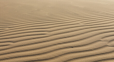 Fototapeta premium Close-up view of rippled sand dunes in the desert under sunlight