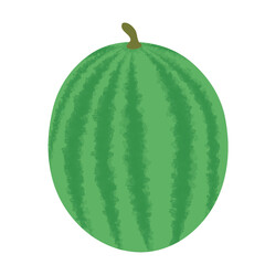 Watermelon fruit illustration