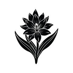 Tuberose Flower Silhouette Vector Illustration on White Background 