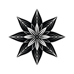 Edelweiss Flower Silhouette Vector Illustration on White Background