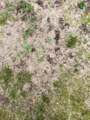 lawn shows significant deterioration with large patches dead grass mixed with sparse green weeds. overall appearance reflects neglect over time. signs poor maintenance are evident. close up.