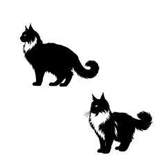 black cat vector illustration