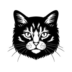 vector illustration of a cat
