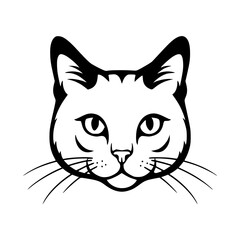 vector illustration of a cat