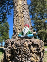 Peaceful Garden Gnome Meditating on Tree Stump in Natural Forest Setting