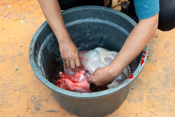 a man taking the offal of a qurban animal
