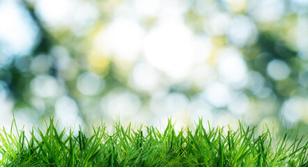 Lush green grass growing outdoors on sunny day, bokeh effect. Banner design