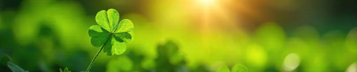 A four-leaf clover bathed in sunlight, symbolizing unexpected fortune and serendipitous events  a concept of divine intervention and blessed chance , magic, faith, wealth