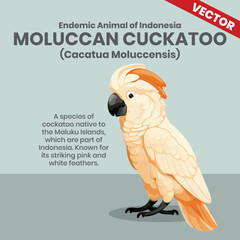 Moluccan Cuckatoo Endemic Animals of Indonesia Wildlife Infographic © Aryanto