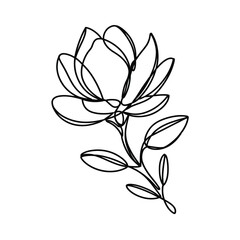 One Line Drawing of a Magnolia Flower