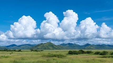 Obraz premium Green grassland landscape with distant hills and a blue sky filled with clouds.