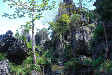 limestone rock formation surrounded by tree