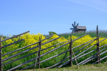 An old wooden fence around a field with meadow flowers and a windmill on Kizhi Island in Karelia