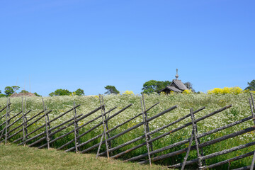 An old wooden fence around a field with meadow flowers and a church on the horizon on Kizhi Island in Karelia