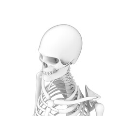 3d rendered illustration of a human head, skull, skeleton, png available