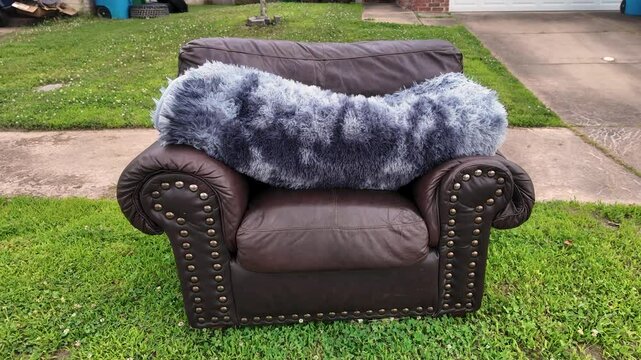 A brown leather armchair outside on the grass with shag carpeting rolled up ontop of the seat and arms. 