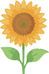 Fototapeta premium Front View Watercolor Illustration of a Sunflower