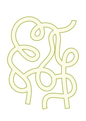 Fototapeta premium Abstract Olive Green Curvilinear Maze on White.