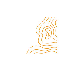 Obraz premium topographic lines