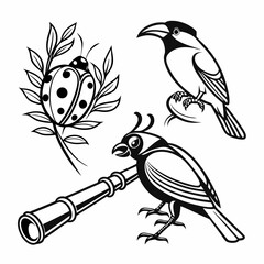 Professional bird ladybug telescope design elements transparent background