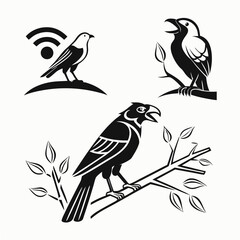 Professional bird silhouettes set isolated on white