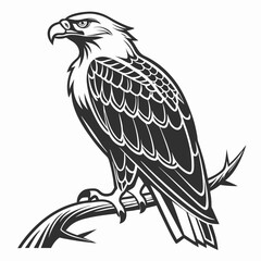 Majestic eagle perched on branch, isolated vector illustration