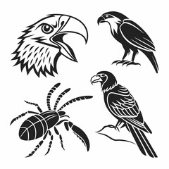 Professional bird and insect cutouts, transparent background