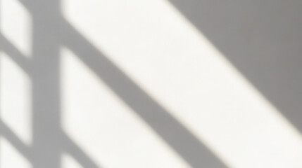 Soft shadows of window cast on white wall create calming and minimalist atmosphere
