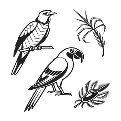 Professional parrot and bird cutouts, isolated on white