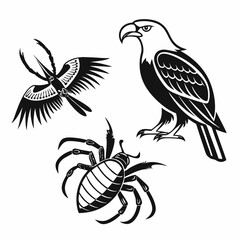 Professional eagle hawk insect clipart set transparent background