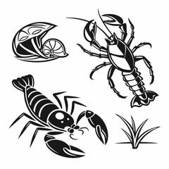 Professional crayfish and clam clipart, isolated on white