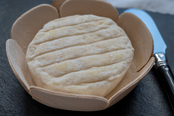 French dauphinois cheeses collection, Saint-Marcellin, creamy Saint- Felicien cow's milk cheese with white mold from Rhône-Alpes region of France