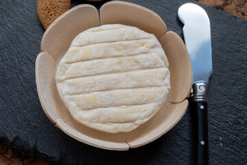 French dauphinois cheeses collection, Saint-Marcellin, creamy Saint- Felicien cow's milk cheese with white mold from Rhône-Alpes region of France
