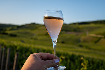 Tasting of rose sparkling wine brut, grand reserve, champagne on vineyards of Ay-Champagne grand cru wine making village in Vallee de Marne, Champagne, France