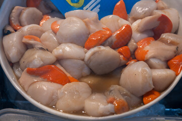 Atlantic bay scallops coquille St. James sea shells, in shells and cleaned, catch of the day on fist market in Oostende, North Sea, Belgium,  close up