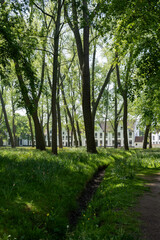 Fototapeta premium Medieval convent for nuns who weave lace in Bruges, Flanders, small white houses and a park inside the monastery walls, Belgium