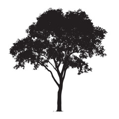 Realistic Ash Tree Silhouette