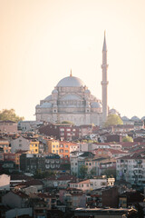 Naklejka premium Istanbul city skyline and mosque at sunset