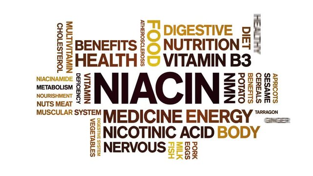 Niacin animated word cloud;text design animation tag kinetic typography seamless loop.