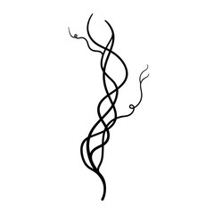 Intricate black vines intertwine and climb, isolated on white background, creating an elegant and minimalist botanical illustration